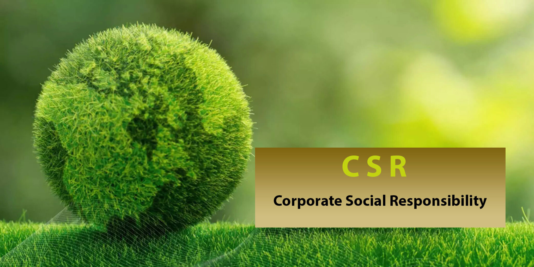 What exactly is ISO 26000 Social Responsibility? - ISO 26000 CSR