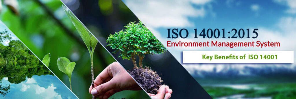 Key Benefits Of ISO 14001 For Your Business